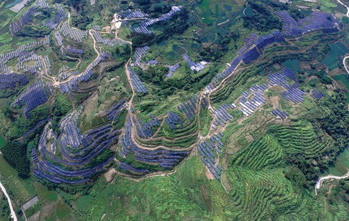 廣州發(fā)展連州星子200MW農(nóng)光互補(bǔ)光伏EPC總承包項目